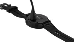 Garmin Fenix 6S Pro GPS Multisport-Smartwatch -Topeak Store 307849