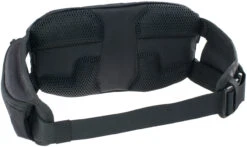 ION Traze 1 Hüfttasche -Topeak Store 351133