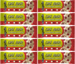 Oat Bar Energieriegel - 10 Stück -Topeak Store 410562