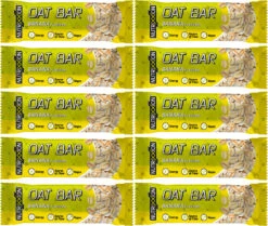 Oat Bar Energieriegel - 10 Stück -Topeak Store 410563